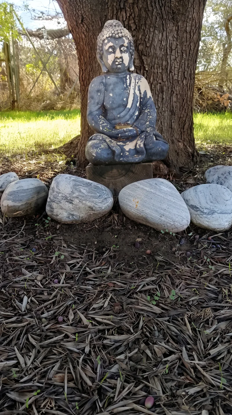 Un racó sota l'arbre