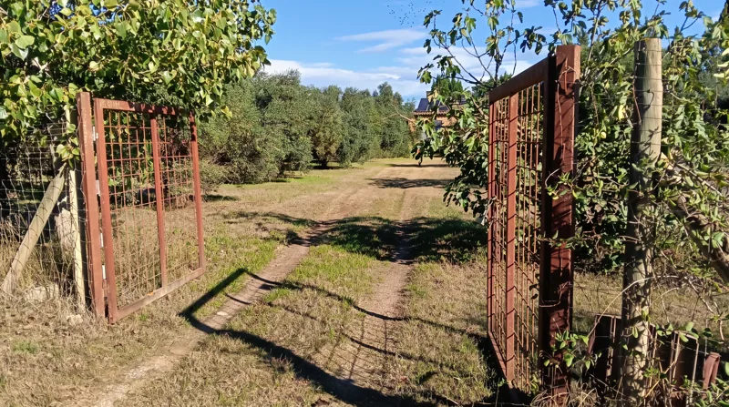 L'entrada