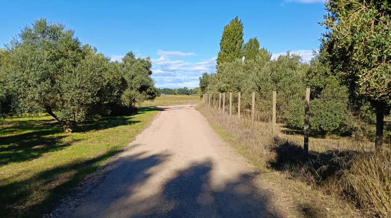 El camí